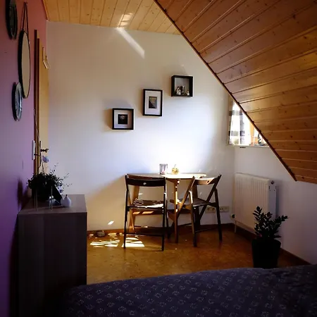 Schwarzwild - Ferienwohnung Und Ferienzimmer Baiersbronn Room photo