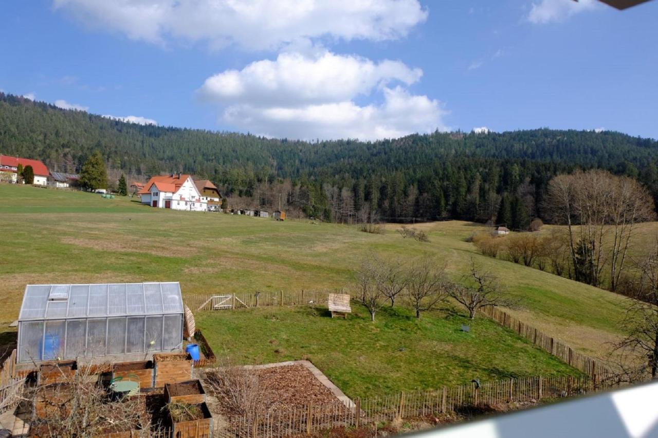 Schwarzwild - Und Ferienzimmer Baiersbronn