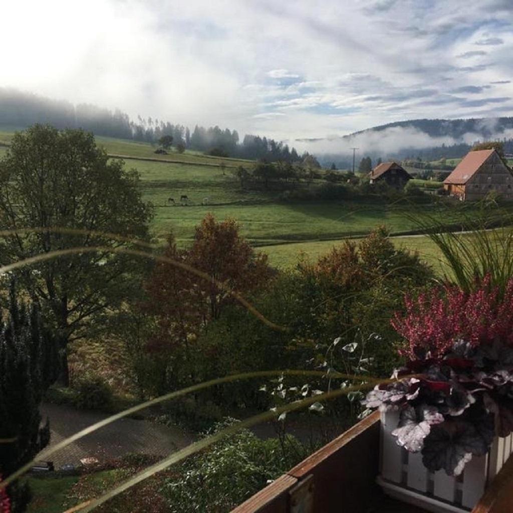 Apartment Schwarzwild - Und Ferienzimmer Baiersbronn