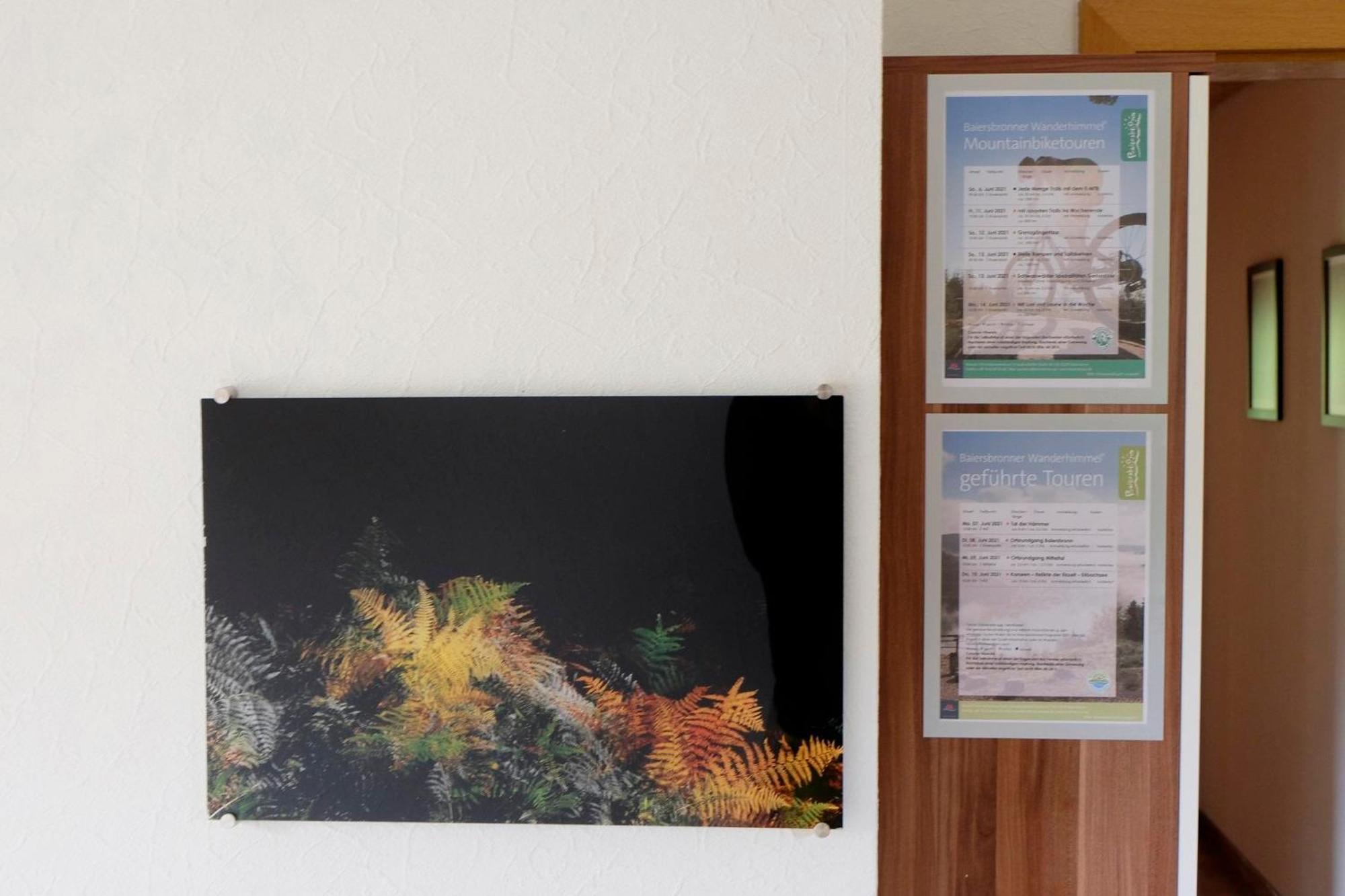 Apartment Schwarzwild - Und Ferienzimmer