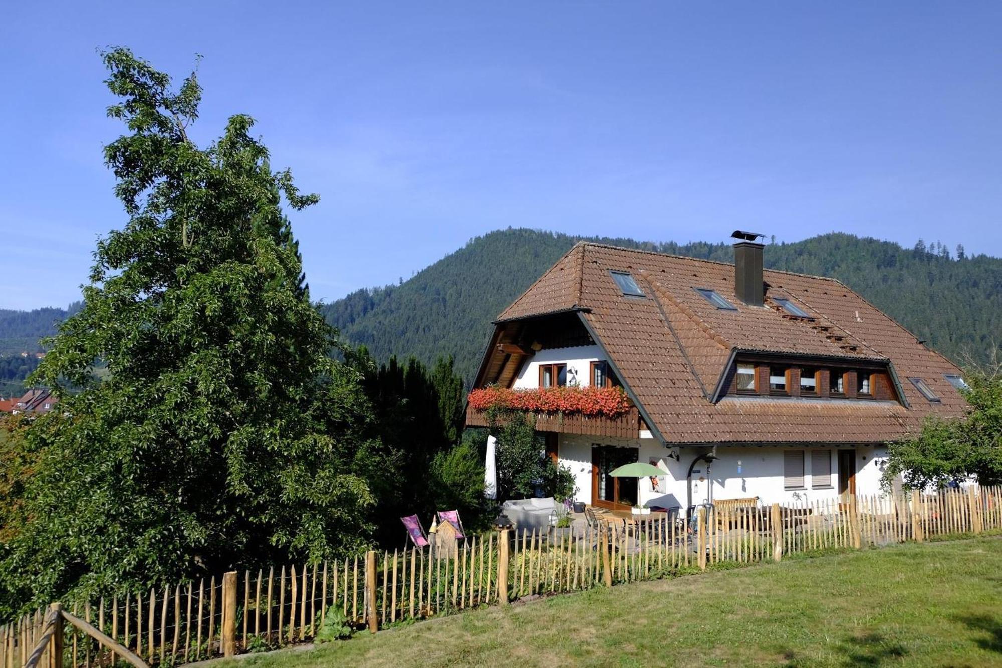 Schwarzwild - Und Ferienzimmer *